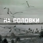 На Соловки